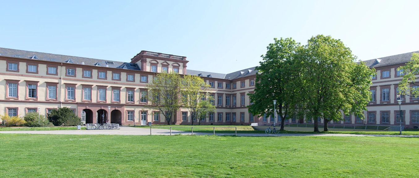 Freie Stelle Universität Mannheim