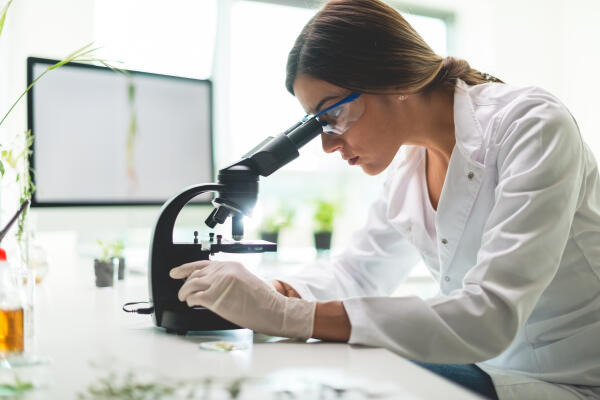 Differentialblutbild wird am Mikroskop ermittelt Differentialblutbild wird am Mikroskop ermittelt