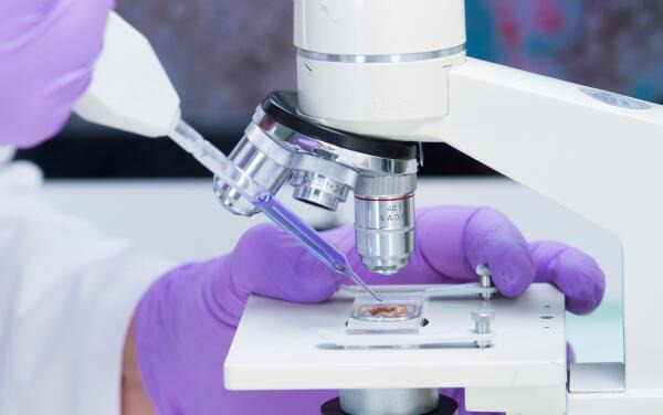 Lebensmittelchemiker untersuchen Proben mit dem Mikroskop Lebensmittelchemiker untersuchen Proben mit dem Mikroskop