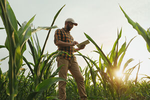 Landwirt beim überprüfen Landwirt beim überprüfen