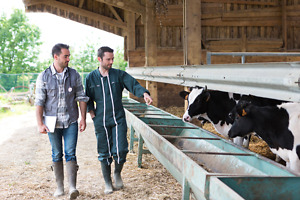 Tierheilpraktiker spricht mit Landwirt Tierheilpraktiker spricht mit Landwirt