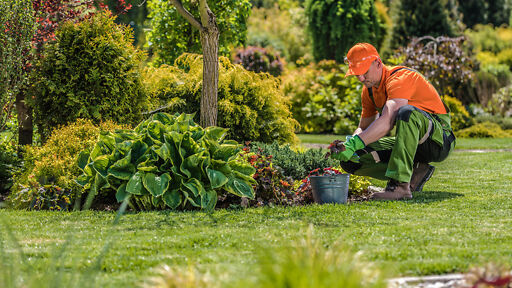 Ausbildung Landschaftsgärtner Ausbildung Landschaftsgärtner