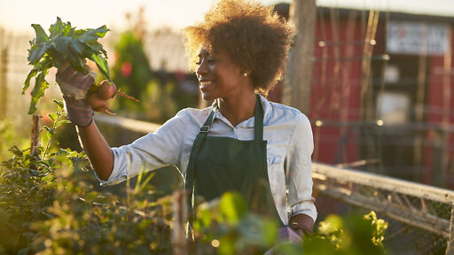 Ausbildung Urban Farmer Ausbildung Urban Farmer