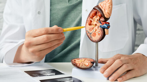 Ausbildung Urologe Ausbildung Urologe