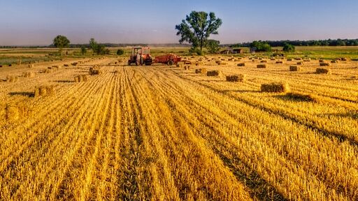 Landwirt auf dem Feld Landwirt auf dem Feld