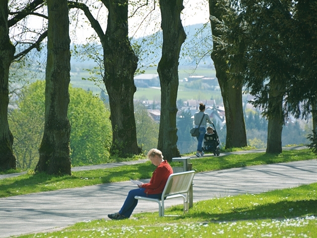 Psychiatrisches Zentrum Nordbaden: Große Parkanlage II