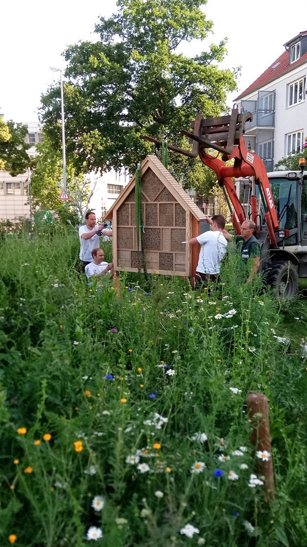 Neuland Wohnungsgesellschaft mbH: NEULAND-Bienenhotels für Wolfsburg