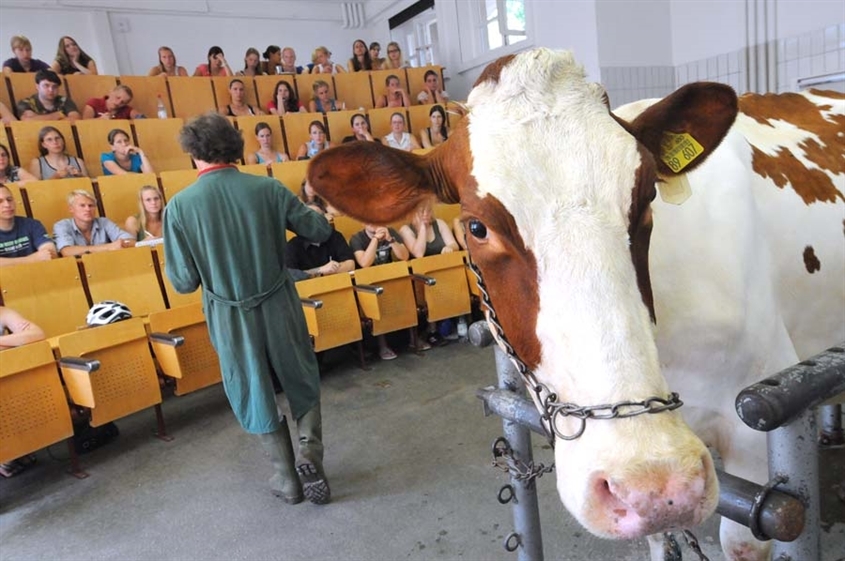 Justus-Liebig-Universität Gießen (JLU): Am Campus Veterinärmedizin (Foto: Franz Möller)