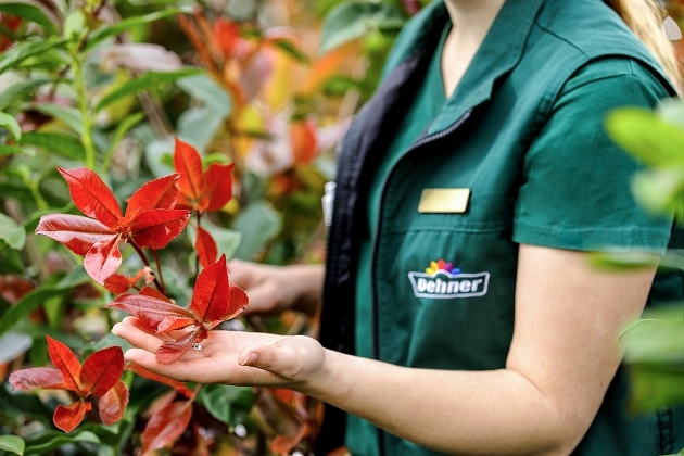 Dehner Gartencenter Gmbh Co Kg Als Ausbilder Ausbildungsplatze