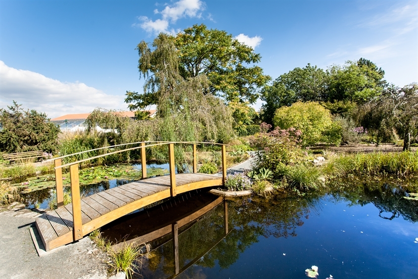 Leibniz-Institut für Pflanzengenetik und Kulturpflanzenforschung (IPK): Botanischer Garten