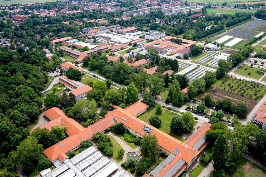 Leibniz-Institut für Pflanzengenetik und Kulturpflanzenforschung (IPK): Campus