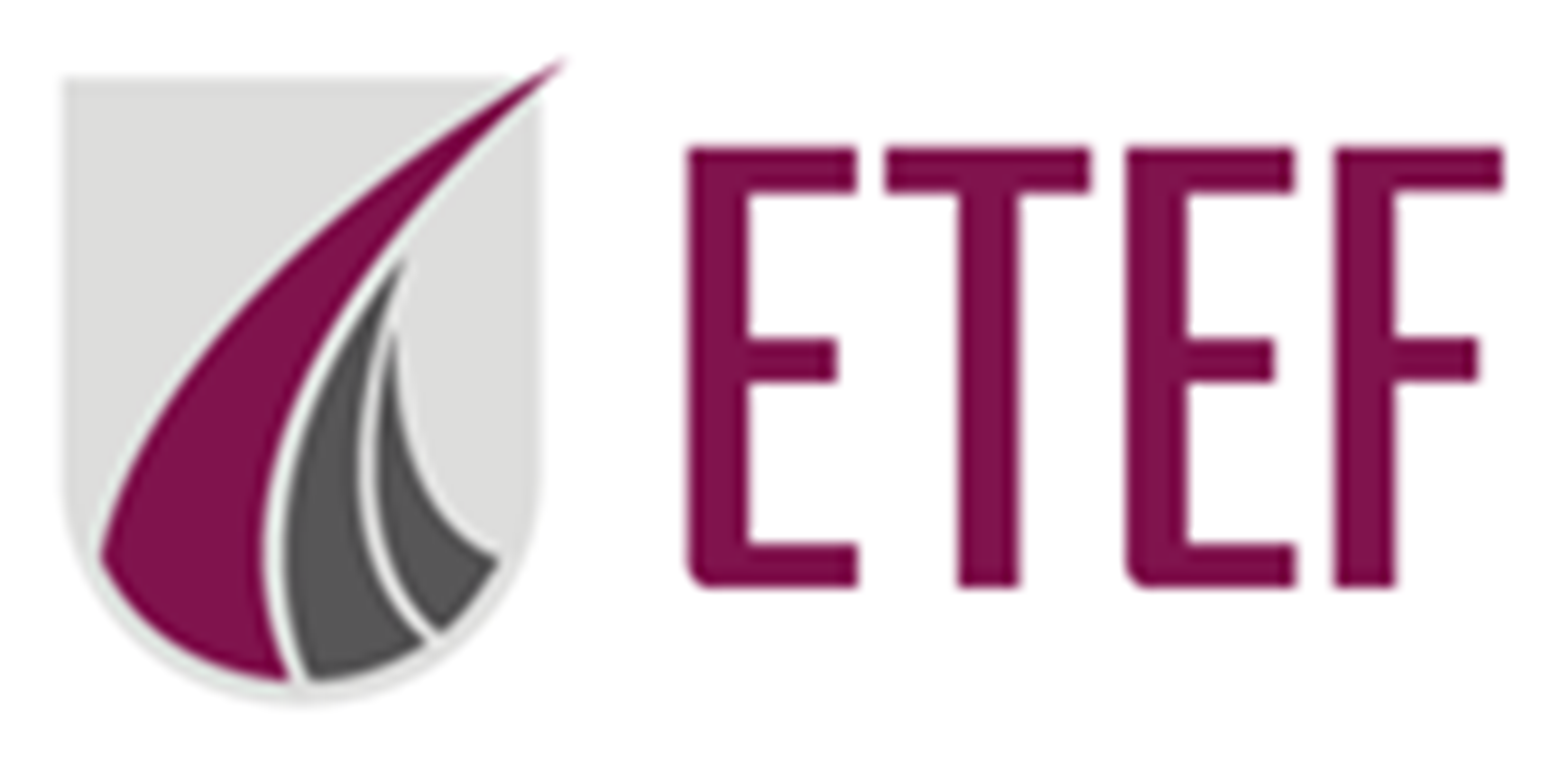 ETEF GmbH