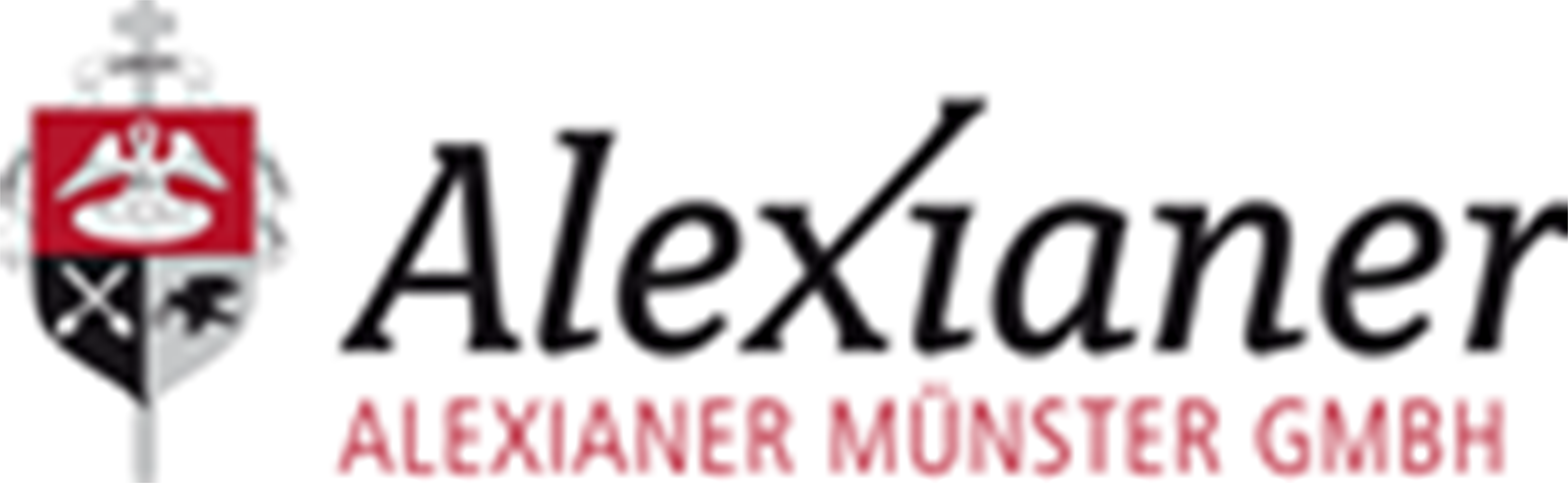 Alexianer Muenster GmbH